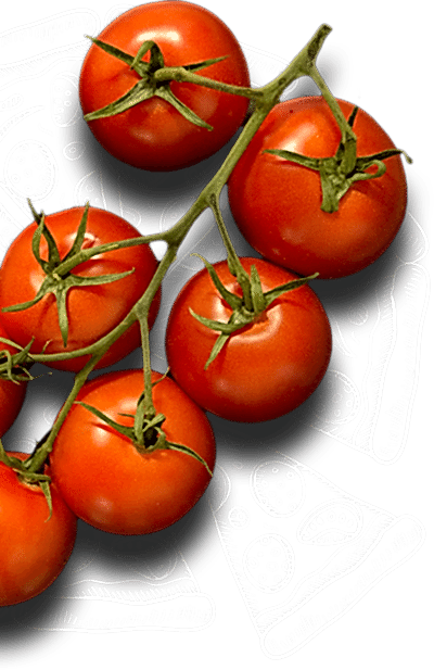 Итальянский язык в Алматы