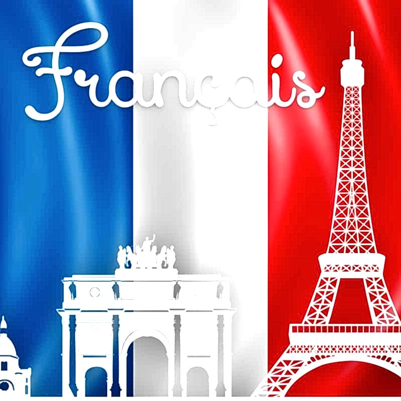 Курсы французского языка в Алматы. Французский в Алматы индивидуальные уроки с носителем языка. Французский для начинающих с нуля - начальный уровень. Подготовка к ЕГЭ, ОГЭ по французскому.