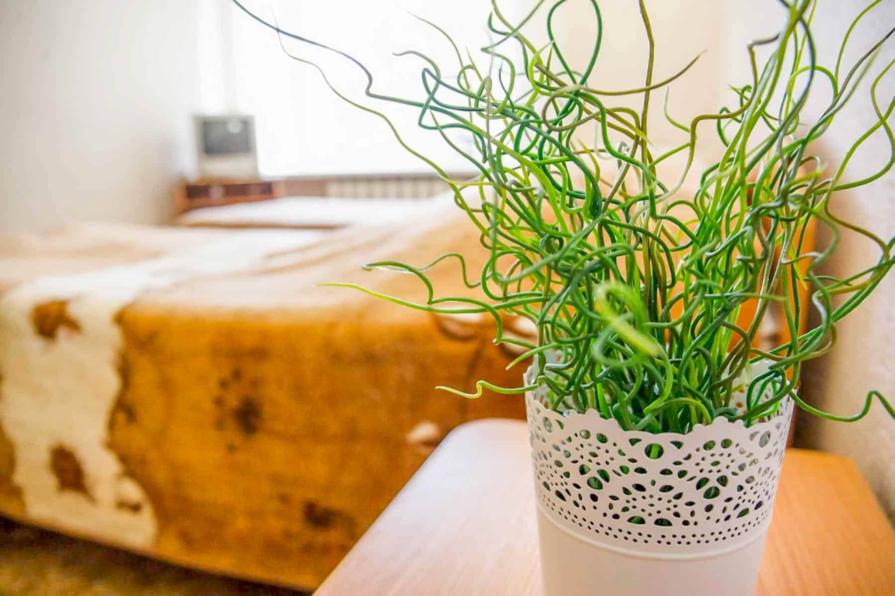 Площадка под открытым небом исполненная в стиле средневековой крепости, для проведения массовых мероприятий. БО "Надежда" г. Алматы