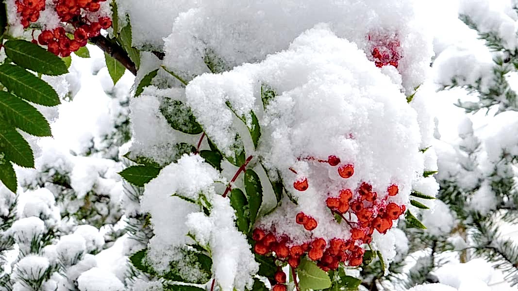 Курсы английского языка для детей в Алматы