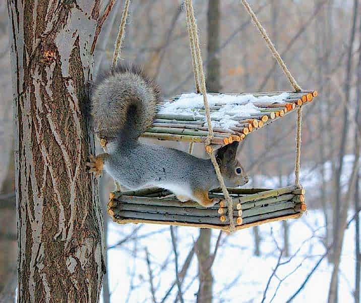 Детский лагерь в Алматы на зимние новогодние каникулы в Детском оздоровительном лагере "Надежда" - это незабываемый отдых на природе и творчество для Ваших детей.