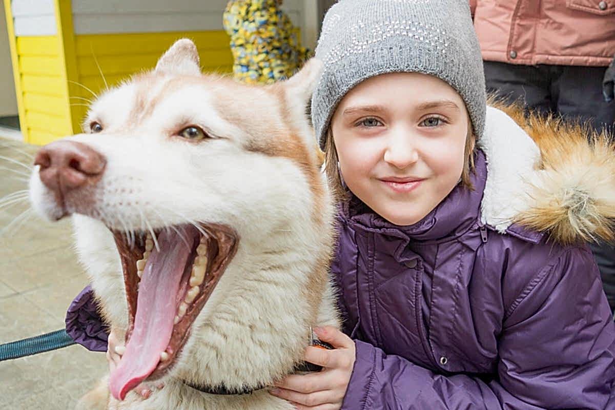 holidays-spring-camp-26